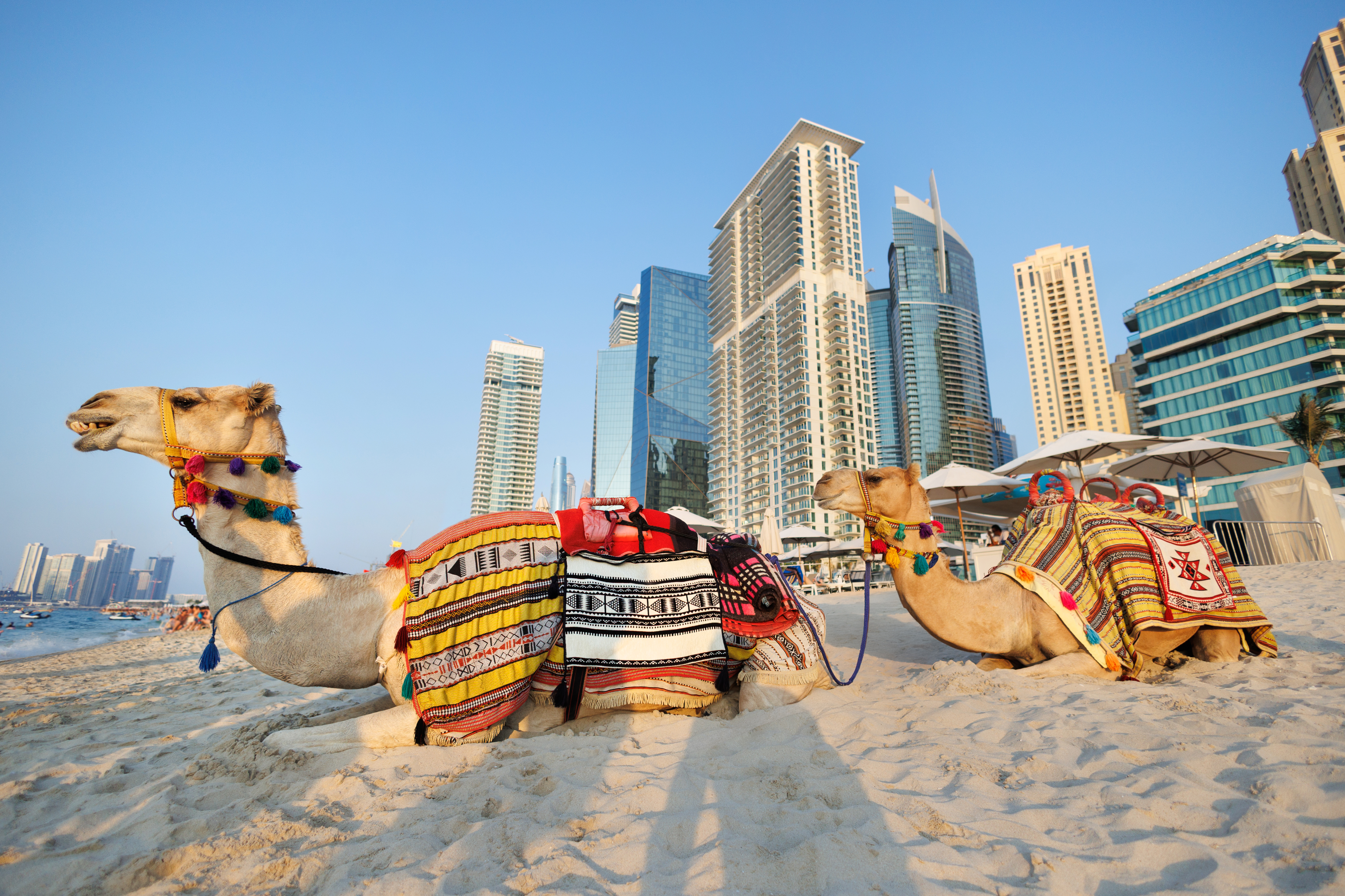 Golden Dreams Tours – Your Gateway to Global Travel